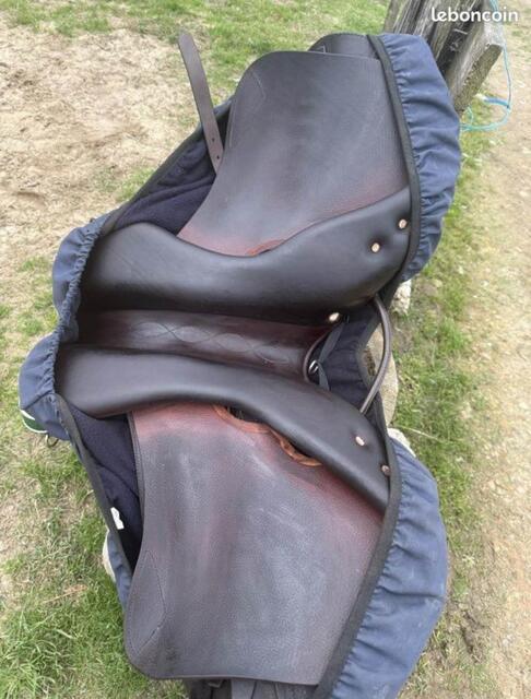 magnifique selle Antares