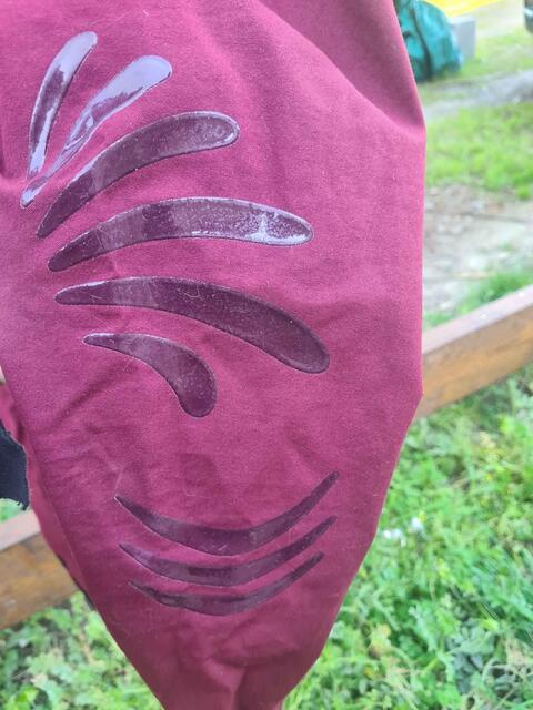 pantalon Flags & Cup Cayenne