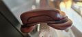 Selle cso cwd