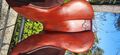 Selle CWD SE02 Havane 16 " très bon etat