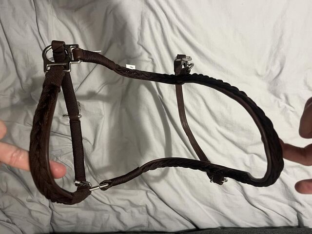 Licol en cuir Harcour