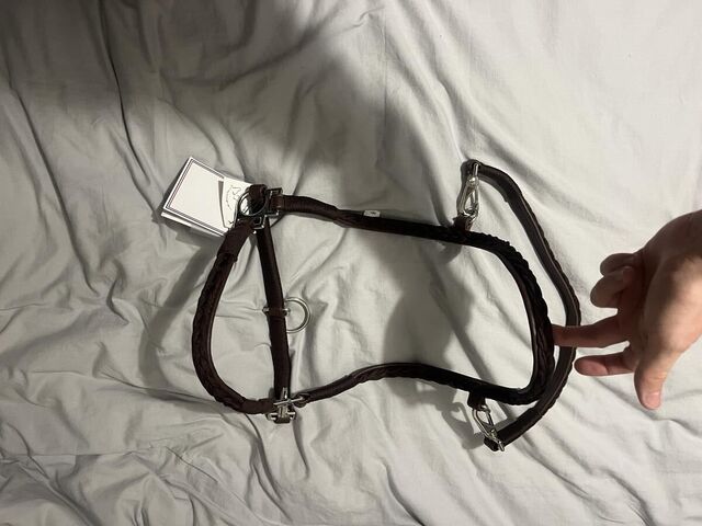 Licol en cuir Harcour