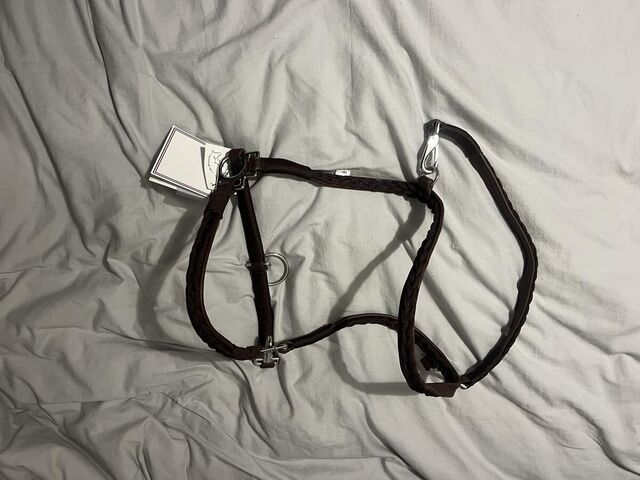 Licol en cuir Harcour