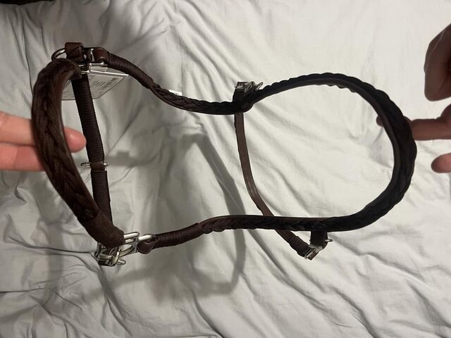 Licol en cuir Harcour