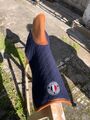 Amortisseur Antares mesh neuf