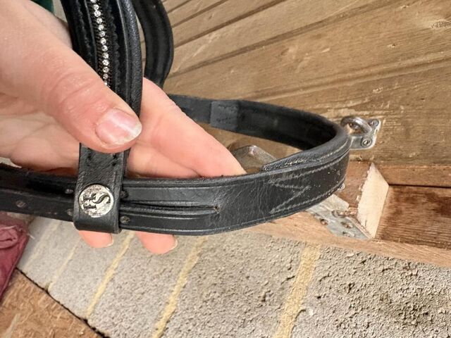 sidepull taille cob