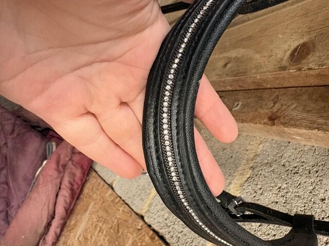 sidepull taille cob