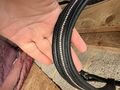 sidepull taille cob