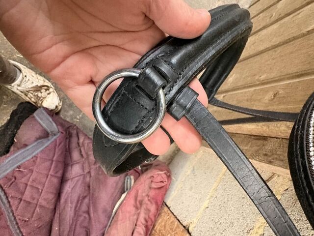 sidepull taille cob