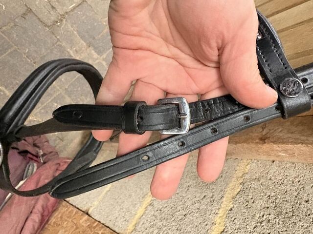 sidepull taille cob
