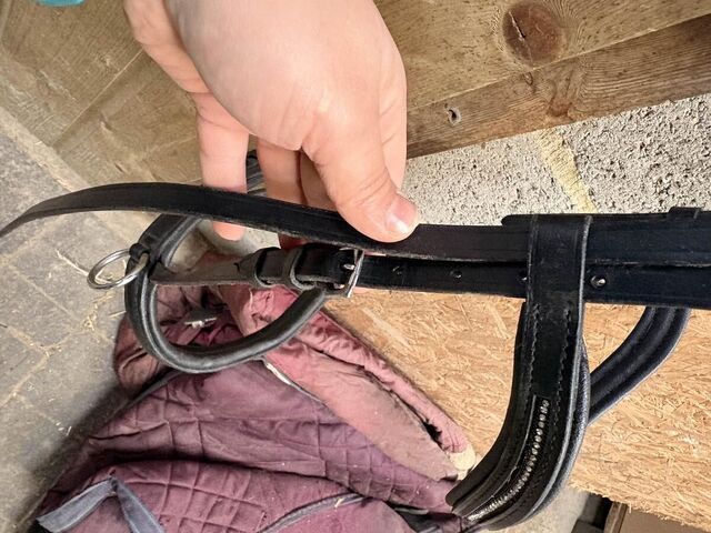 sidepull taille cob