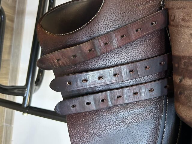 Selle Forestier Seoul