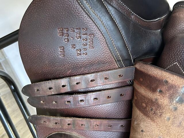 Selle Forestier Seoul