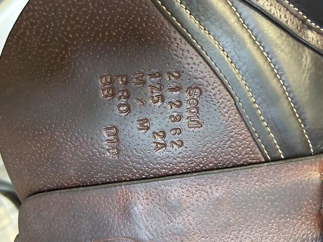 Selle Forestier Seoul