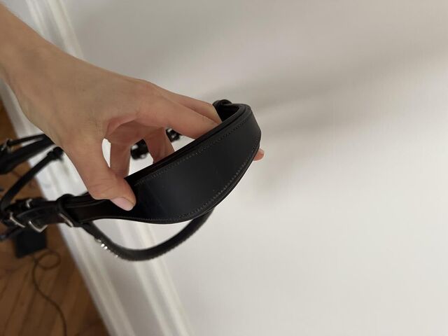 Bride en cuir noire