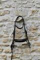 Bride Dy’on avec 2 paires de rênes marron Dy’on