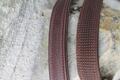 Bride Dy’on avec 2 paires de rênes marron Dy’on