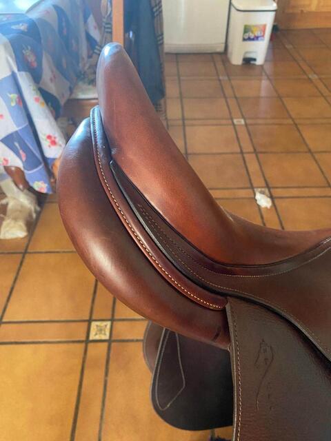 Selle Antares 17”