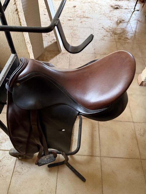 selle daaleman dressage