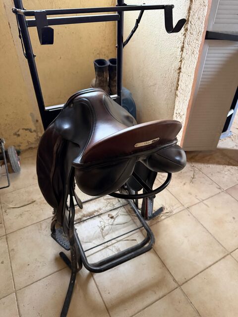 selle daaleman dressage