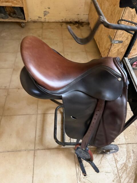 selle daaleman dressage