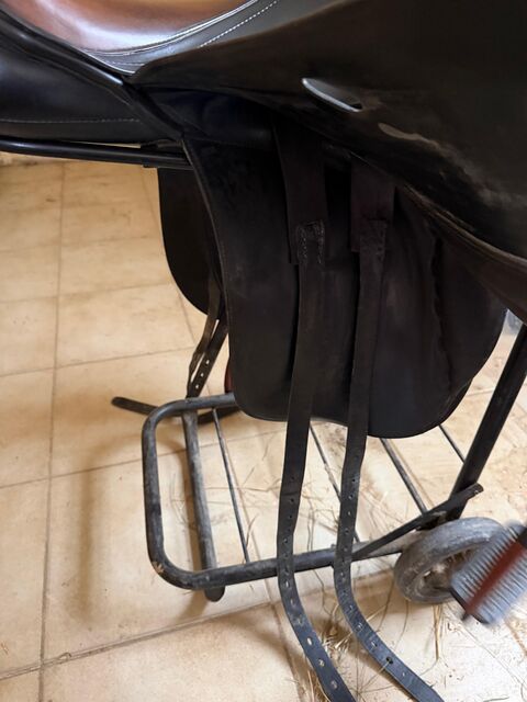 selle daaleman dressage