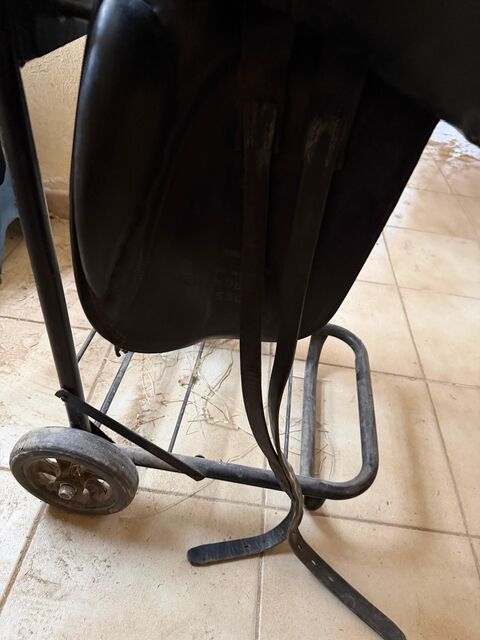 selle daaleman dressage