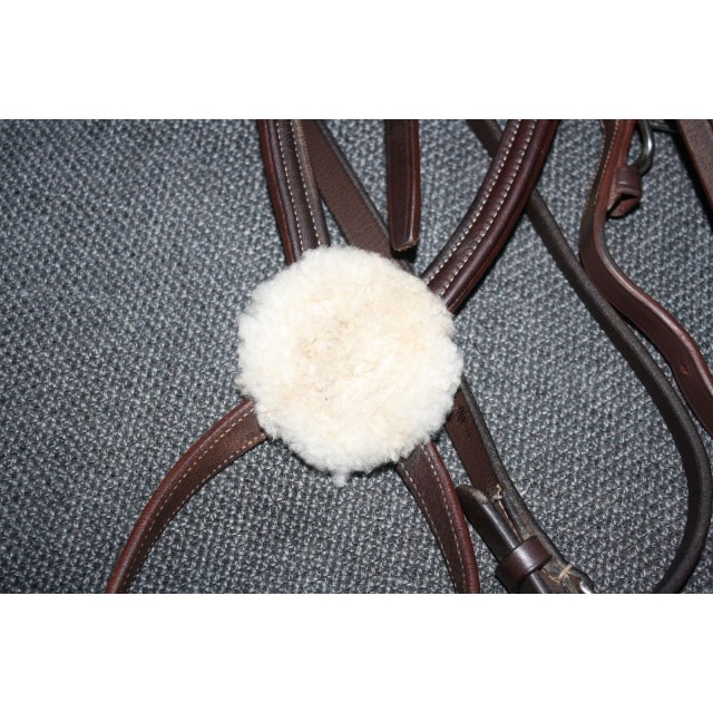 Filet poney Privilège Equitation modèle Royan muserole croisée