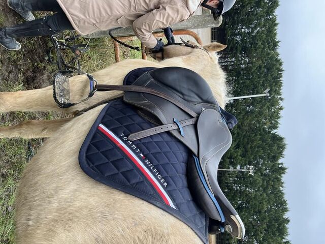 Selle CSO Stübben