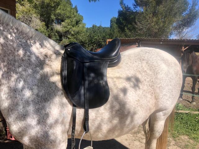 Selle Childéric modèle DSG