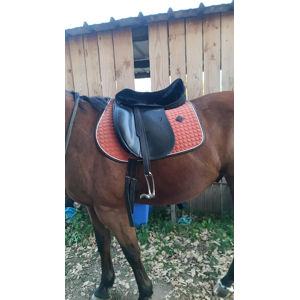 Selle de dressage Tekna