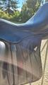selle dressage
