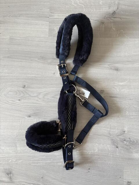 Licol cheval neuf