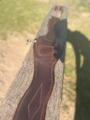 Sangle CWD