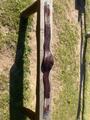 Sangle CWD