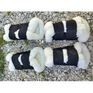 protection dressage kentucky