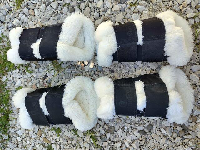 protection dressage kentucky