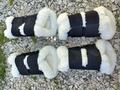 protection dressage kentucky