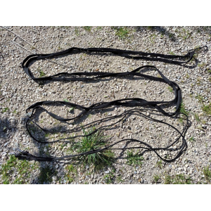 longues rênes cheval