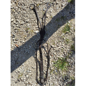 martingale à anneaux