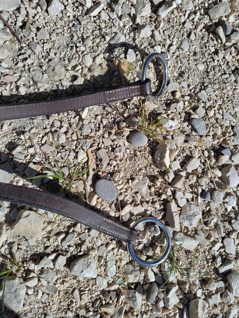 martingale à anneaux