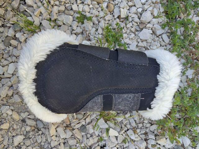 protection dressage kentucky