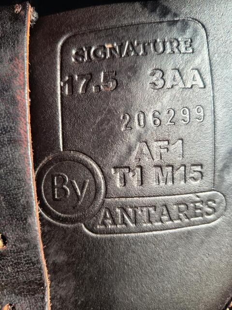 Selle antares 17,5