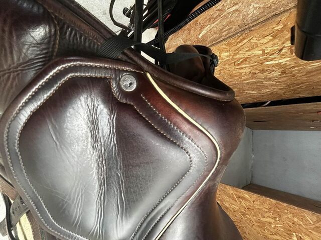 Selle OKLES Sport modele Bianca