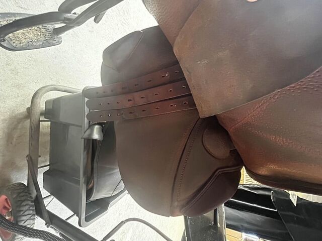 Selle OKLES Sport modele Bianca