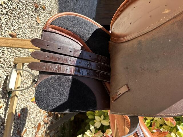 Selle Fitter Eric Thomas 17 pouces