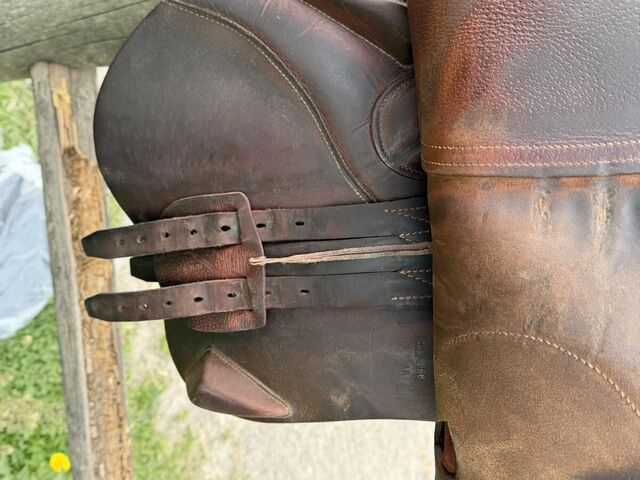 Selle Antares évolution