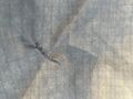Couverture harrys horse
