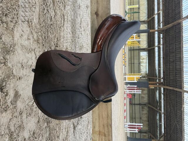 Selle Antares évolution