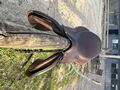 Selle Antares évolution